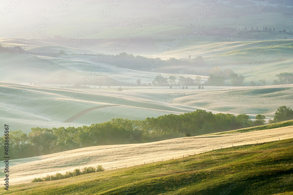 Spring Tuscany. View of the green fields lit by the rays of the sun.