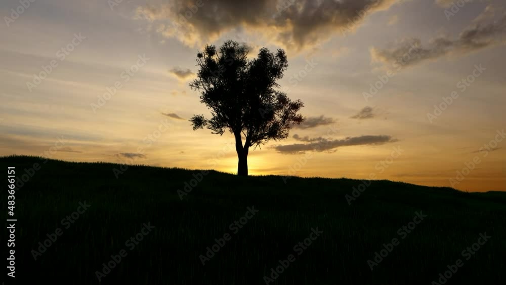 Sunset and Tree View
. High Quality Background Animation
Sunset and Tree View
. High Quality Background Animation