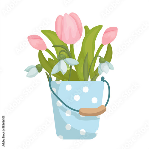 Bouquet of spring flowers white snowdrops and pink tulips in a vintage bucket. Cartoon vector graphics.