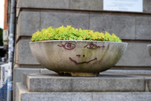 happy pot