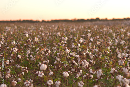 Wallpaper Mural アメリカごく普通の郊外景色、北米田舎風景 Torontodigital.ca