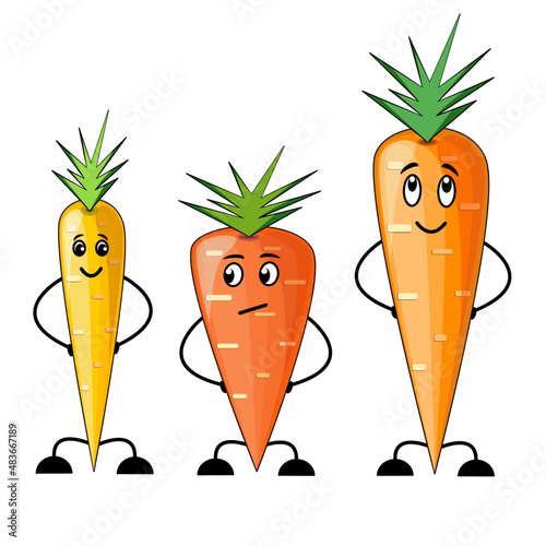 Funny carrots cartoon characters in digital flat technique vector illustration 