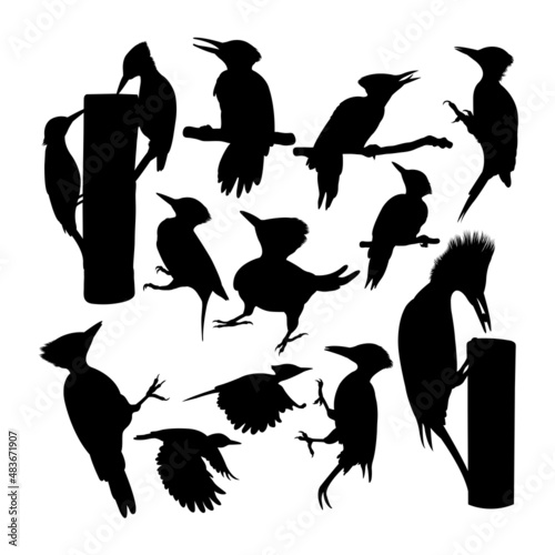 Flameback woodpecker bird silhouettes. Good use for symbol, logo, icon, mascot, sign or any design you want.