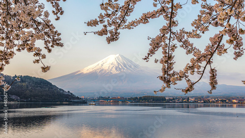 Fuji Mountain and Pink Sakura Branches at Kawaguchiko lake in Springtime, Japan © iamdoctoregg