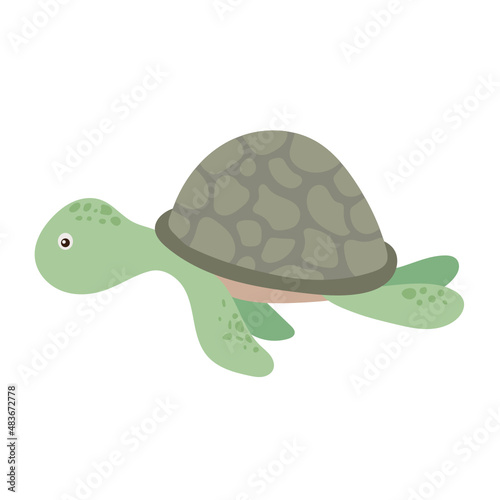 turtle flat icon