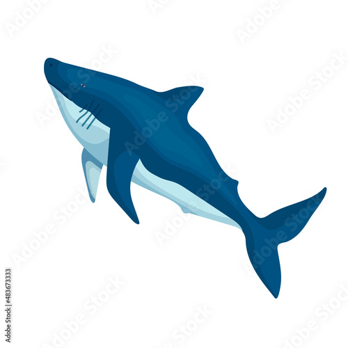 Shark colorful illustration of predatory fish.Vector graphics.