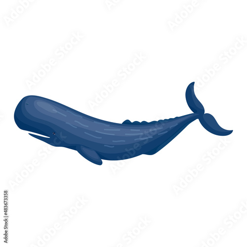 Sperm Whale colorful marine mammal illustration. Vector graphics. photo