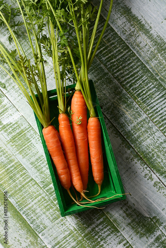 fresh organic carrots in the small green wooden box #483674504