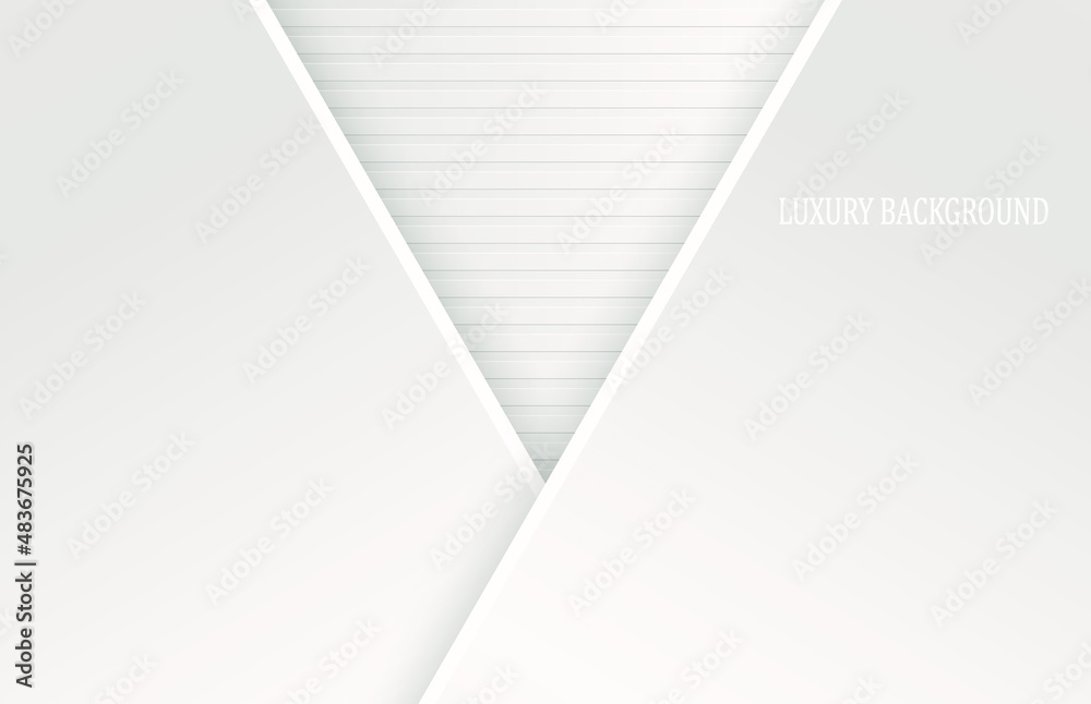 White luxury background. Vector illustration. White luxury background. Vector illustration.