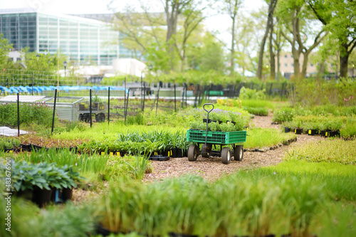 Photography Community kitchen garden