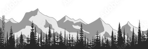 Black and white landscape, spruce forest against the background of snow-capped mountains	