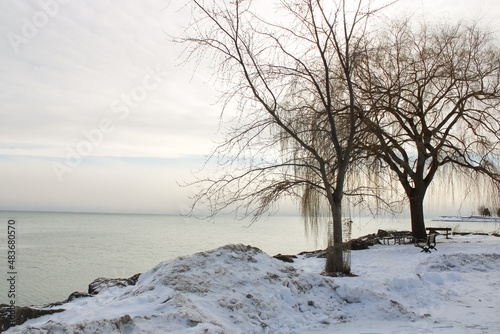 Winter Landscapes at Scarborough Bluffs Park, Ontario, Canada