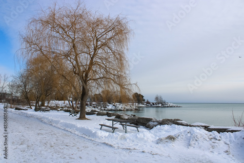 Winter Landscapes at Scarborough Bluffs Park, Ontario, Canada
