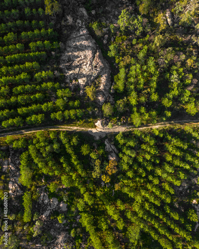 Beautiful aerial view of a country road in a forest.