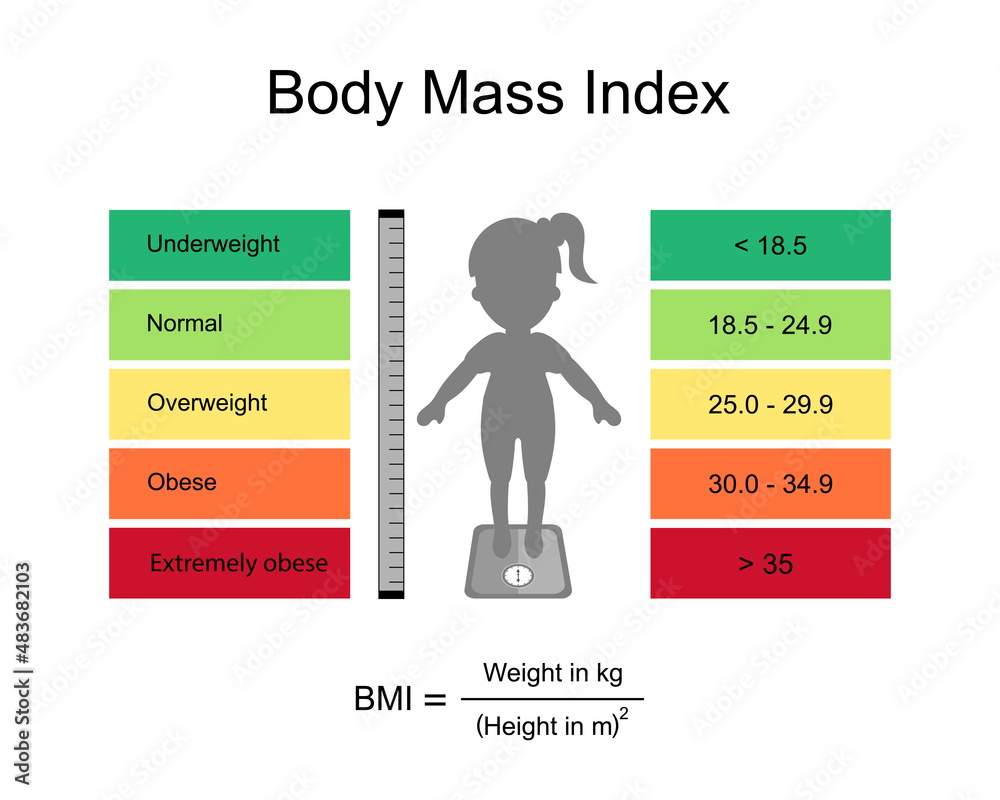 Chart Of Adult Body Mass Index Range With Weight Status From Underweight To Extremely Obese With