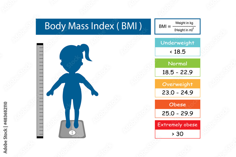 Chart of adult body mass index range with weight status from underweight to extremely obese with BMI calculator and cartoon women on the weight scale.Medical healthcare concept.Vector.Illustration. Chart of adult body mass index range with weight status from underweight to extremely obese with BMI calculator and cartoon women on the weight scale.Medical healthcare concept.Vector.Illustration.