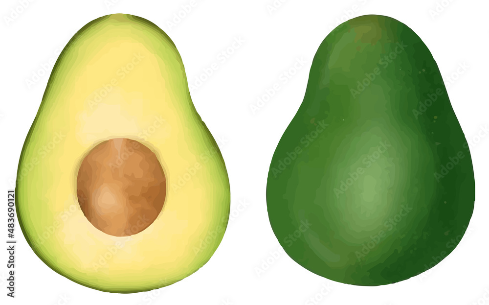 Avocado slide with white background vector Avocado slide with white background vector