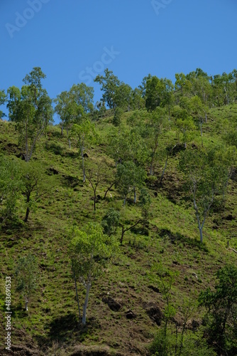 The beautiful view of the green hills in Timor Leste. View of trees, hills, and blue sky.