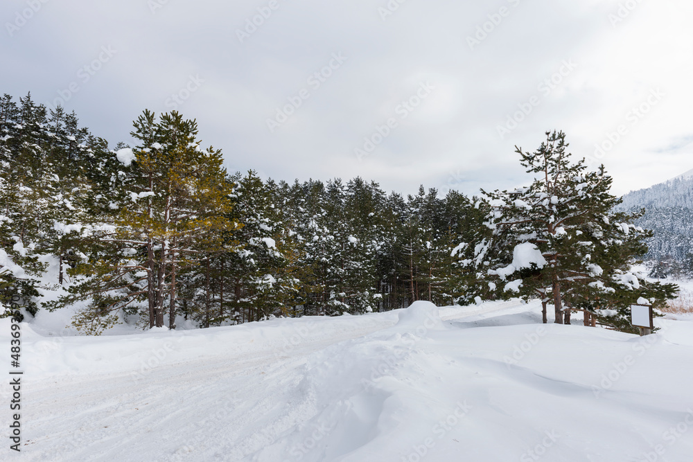 ABANT LAKE NATURE PARK in Bolu, Turkey. (Turkish: Abant Golu Tabiat Parki). Beautiful winter landscape at Abant Lake. ABANT LAKE NATURE PARK in Bolu, Turkey. (Turkish: Abant Golu Tabiat Parki). Beautiful winter landscape at Abant Lake.