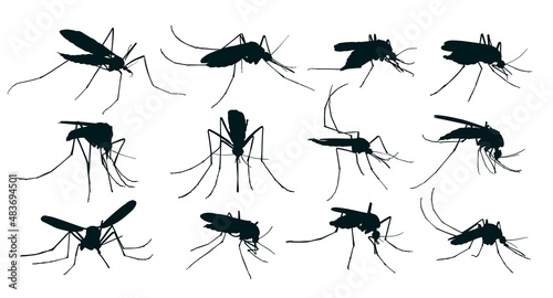 The big Set silhouettes of mosquitoes. © designer_an