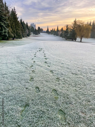 Footprint at Frosty grass lawn at golf course in winter morning 