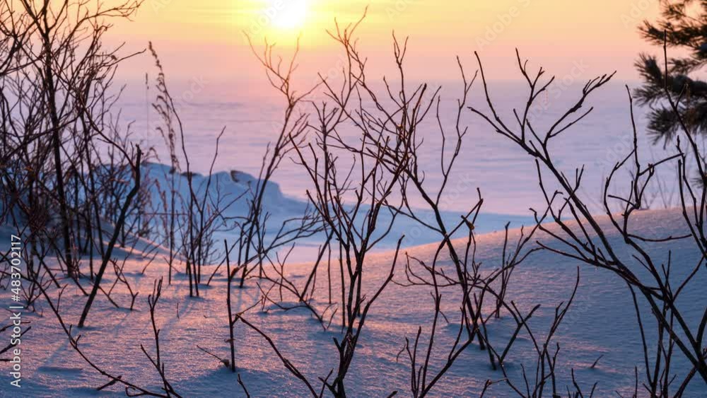 timelapse of the setting sun against the background of branches and trees in winter. timelapse of the setting sun against the background of branches and trees in winter.