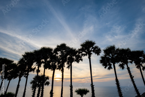 Coconut tree, palm tree, silhouettes at sunset in tropical resort island over ocean, Phuket, Thailand. Resort, tropic, vacation, holiday concept