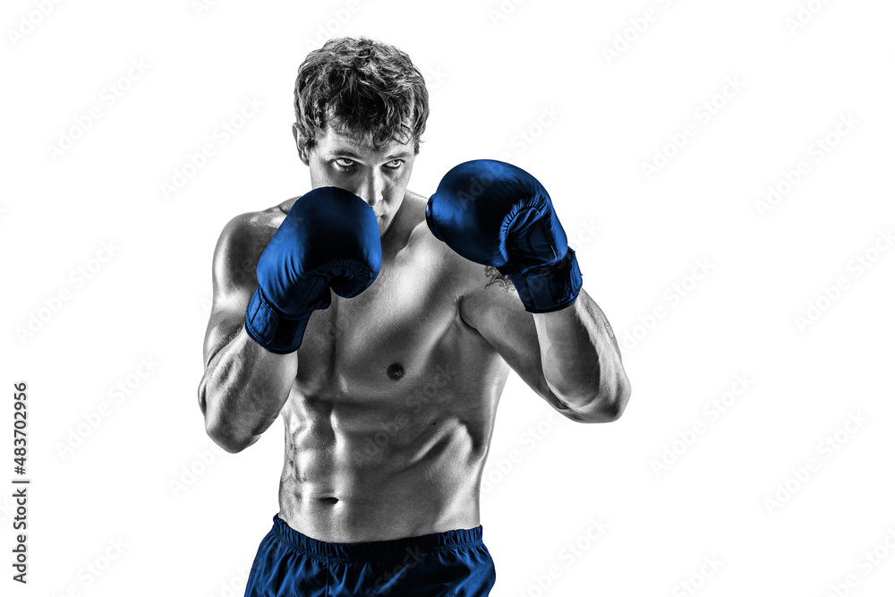 Half lenght of boxer in blue gloves who stands on white background. Black and white silhouette 