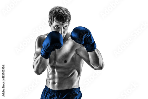 Half lenght of boxer in blue gloves who stands on white background. Black and white silhouette 