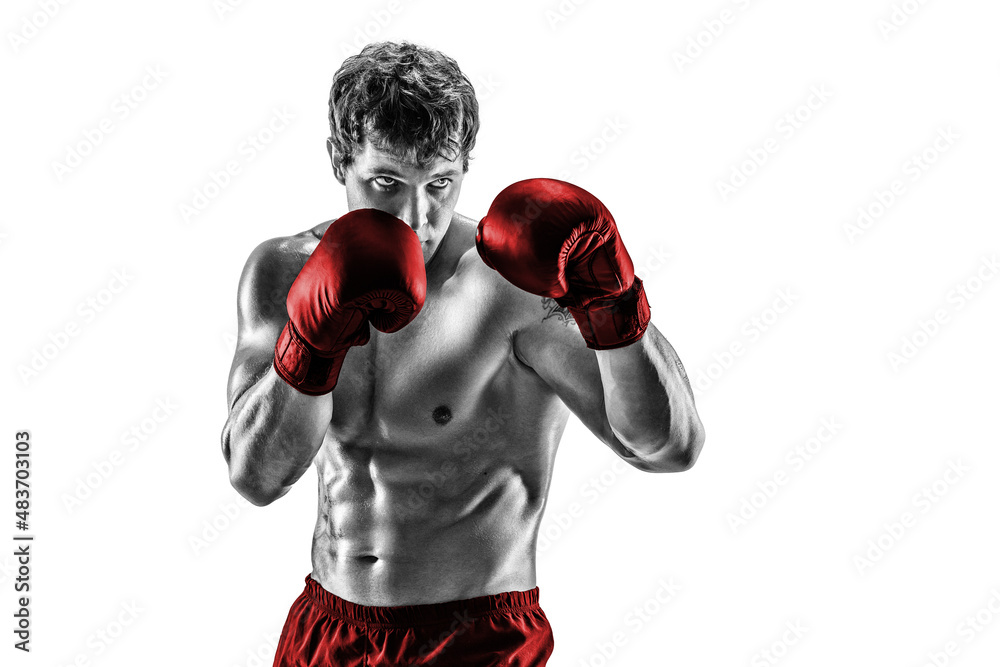 Half length of boxer in red gloves who stands on white background. Black and white silhouette
