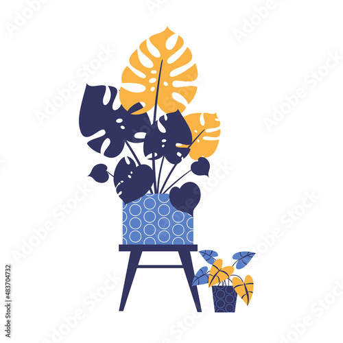 Vector image of house flowers in limited color range. Tropic plant monstera and philodendron. Flat style.
