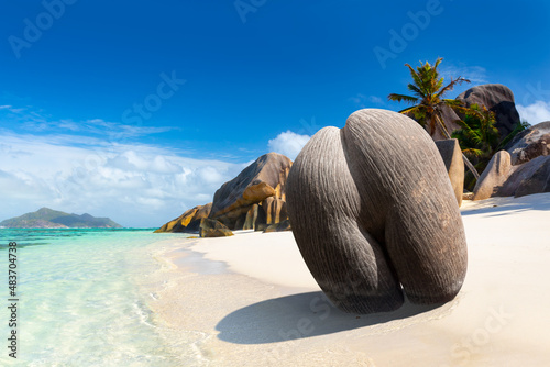 Coco de mer or sea coconut, or double coconut is the largest and sexiest nut in the world. Seychelles  photo