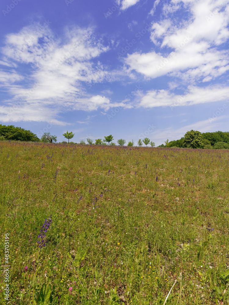 Landschaft im Naturschutzgebiet Mäusberg bei Karlstadt, Landkreis Main-Spessart, Unterfranken, Bayern, Deutschland