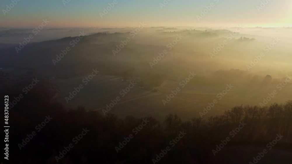 Aerial view of vineyard in frozen winter, hoarfrost on the vine, Bordeaux Vineyard, Gironde, France. High quality 4k footage Aerial view of vineyard in frozen winter, hoarfrost on the vine, Bordeaux Vineyard, Gironde, France. High quality 4k footage