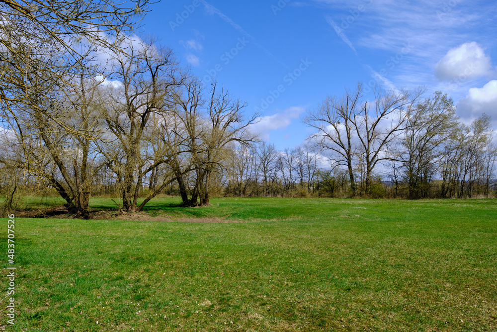 NSG Mainaue bei Augsfeld zwischen der Stadt Haßfurt und Knetzgau, Landkreis Hassberge, Unterfranken, Franken, Bayern, Deutschland
