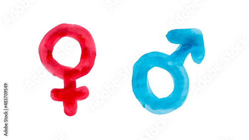 Gender symbols on white. Red female and blue male gender symbols painted with watercolors, isolated on white background. 4k resolution.