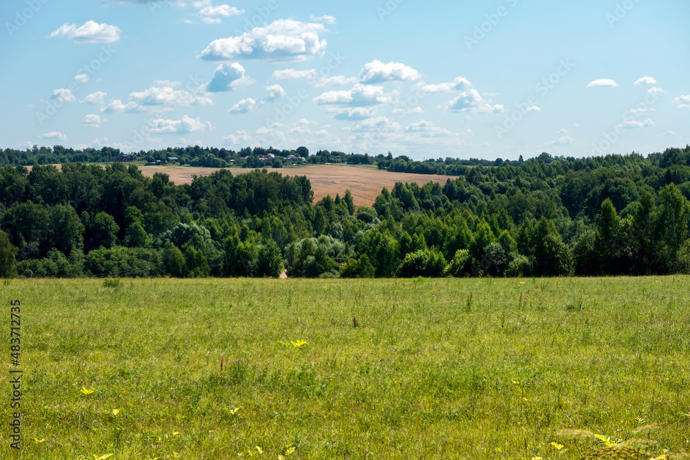 Agricultural fields with crops to the horizon, autumn day in the field Agricultural fields with crops to the horizon, autumn day in the field