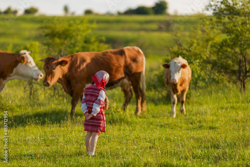 little girl in a national Ukrainian costume grazes cows on the lawn © zokov_111