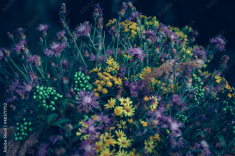 bunch of colorful wild flowers from meadow
