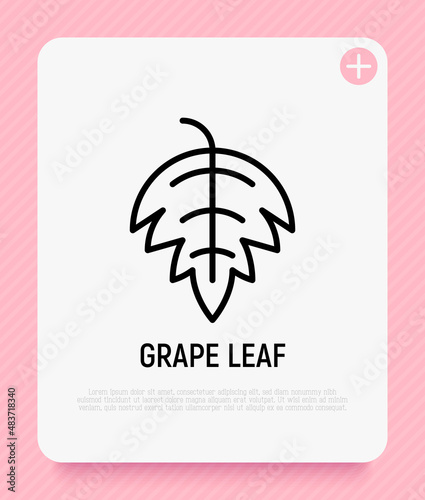 Grape leaf thin line icon. Modern vector illustration for wine logo.