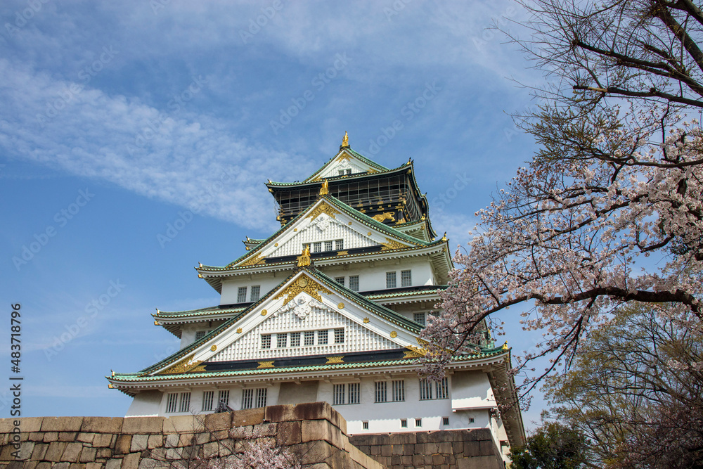 桜の花と大阪城 桜の花と大阪城