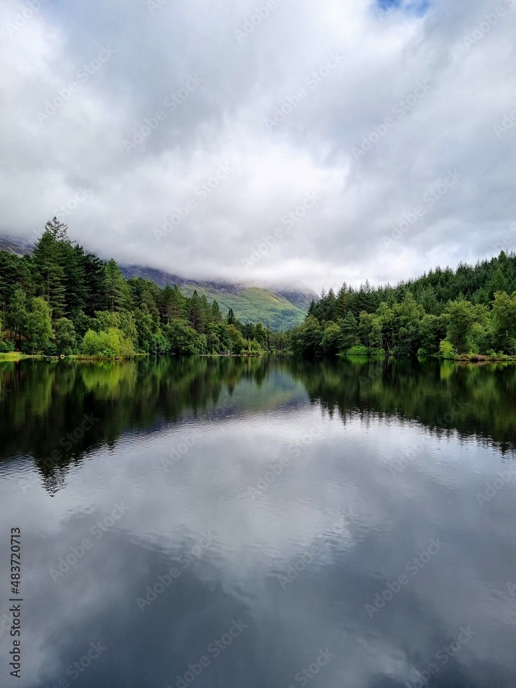 A forest reflected on a still lake