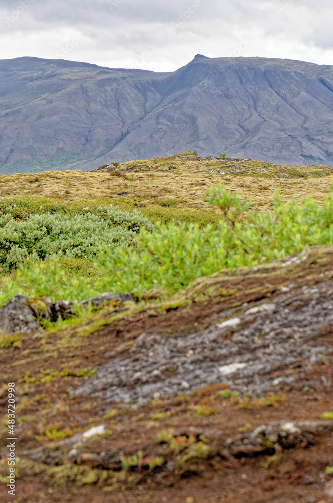 Thingvellir National Park - Golden Circle - Iceland Thingvellir National Park - Golden Circle - Iceland