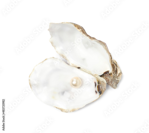 Open oyster shell with pearl on white background