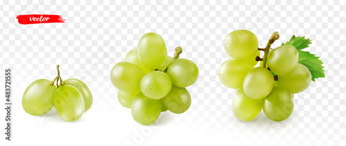 Set of green grape isolated on white. Realistic vector illustration of yellow grape. photo