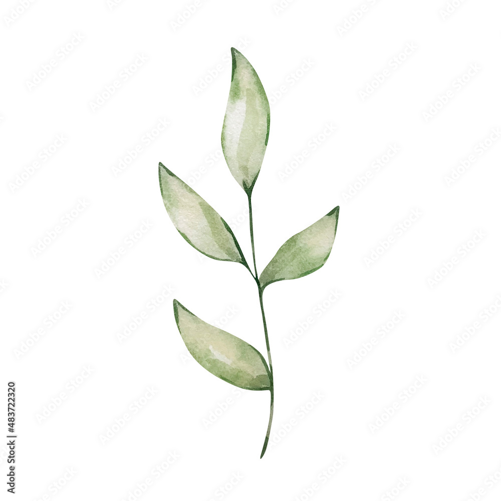 Watercolor branch with green leave