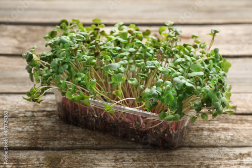 Fresh radish microgreens in plastic container on wooden table