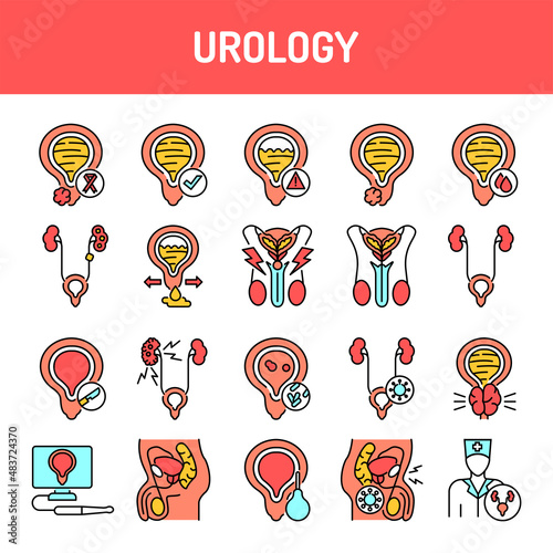 Urology line icons set. Isolated vector element.