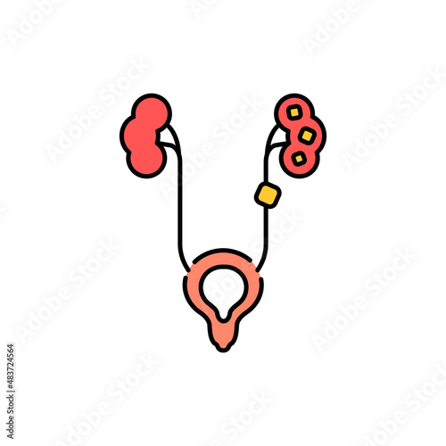 Urolithiasis disease color line icon. Pictogram for web page
