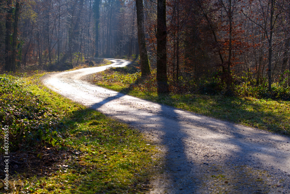 Obraz premium Winding rural gravel road in the woods with focus on background near the airport on a sunny winter day. Photo taken January 26th, 2022, Zurich, Switzerland.